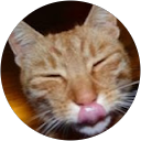 LadyHmmm profile picture